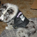 Lori Vest Photo 12
