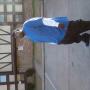 Ellis Johnson Photo 16