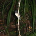 Robin Stewart Photo 15