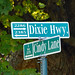 Cindy Lane Photo 11