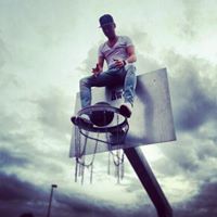 David Noll Photo 12