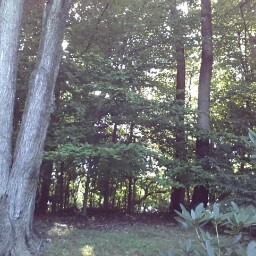 Loretta Turner Photo 13