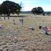 Catherine Frazier Photo 12