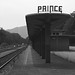 Virginia Prince Photo 11