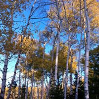 Gayle Roberts Photo 44