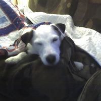 Debra Egan Photo 12