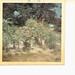 Betty Davidson Photo 22