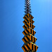 Kevin Oehler Photo 7