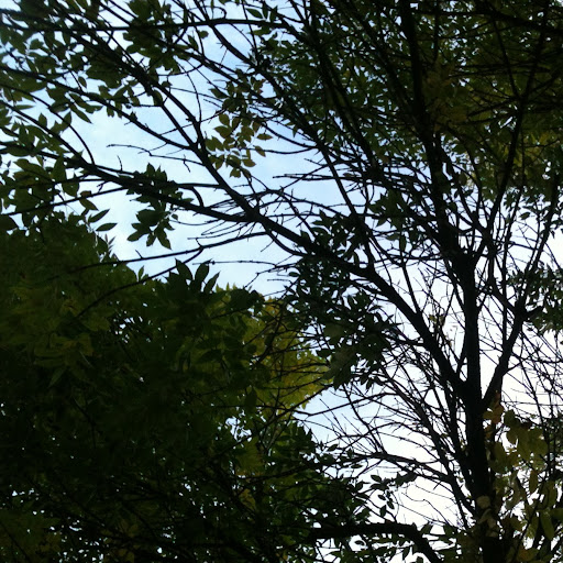 Kimberly Skaggs Photo 13