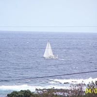 Martha Bell Photo 3