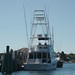 Martha Duke Photo 10