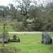 Charles Pappas Photo 40