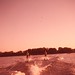 Joyce Barron Photo 18