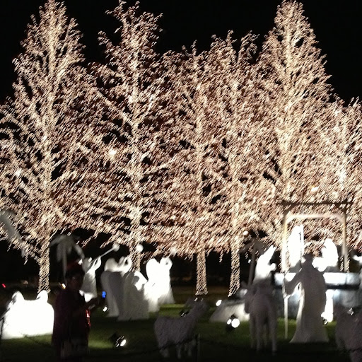 Nancy Meeks Photo 7