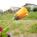 Linda Raye Photo 4