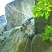 Lisa Trapp Photo 16