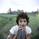 Sandra Crenshaw Photo 8