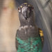 Michael Leet Photo 14