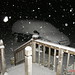 Christine Ambrose Photo 17