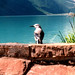 Jay Lake Photo 3