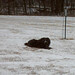 Steve Dougherty Photo 15