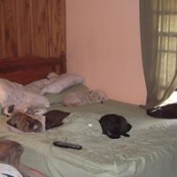 Robert Carson Photo 30