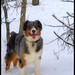 Don Schaefer Photo 20