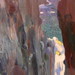 Daniel Mccully Photo 10