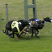 Butch Gee Photo 7