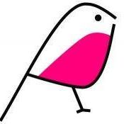 Robin Pink Photo 17