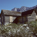 Robert Belcher Photo 34