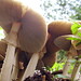 Deborah Gill Photo 6