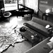 Louise Armstrong Photo 28