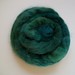 Devon Dye Photo 11