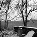 Doris Dorris Photo 10