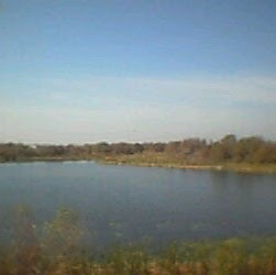 Donna Herman Photo 29