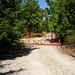 Shirley Gates Photo 5