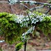 Karen Mcnutt Photo 13