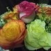Shirley Rose Photo 26