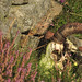 Heather Horn Photo 31
