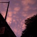 Andrew Coburn Photo 34