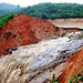 Tri Vo Photo 11