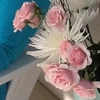 Kimberly Cate Photo 20