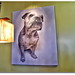 Julie Breed Photo 6
