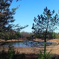 Debra Rush Photo 15