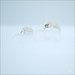 Sandra Weis Photo 24
