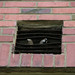 Anne Sparrow Photo 13