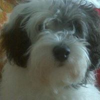 Brenda Dearmond Photo 11