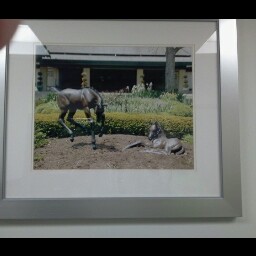 Jimmy Adkins Photo 16