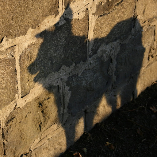 Jane Reid Photo 14